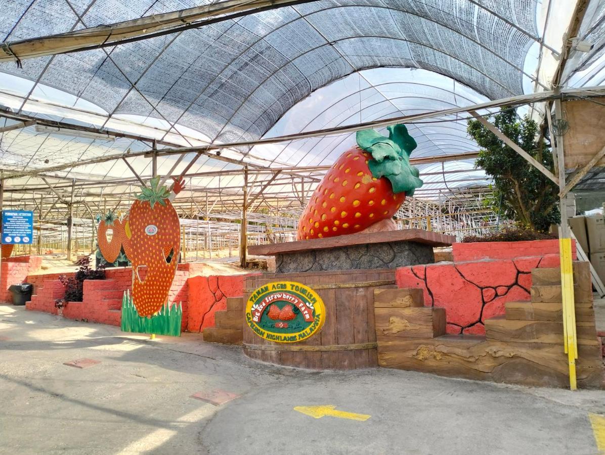 קמרון היילנדס Mag Homestay At Crown Imperial Court, Brinchang מראה חיצוני תמונה