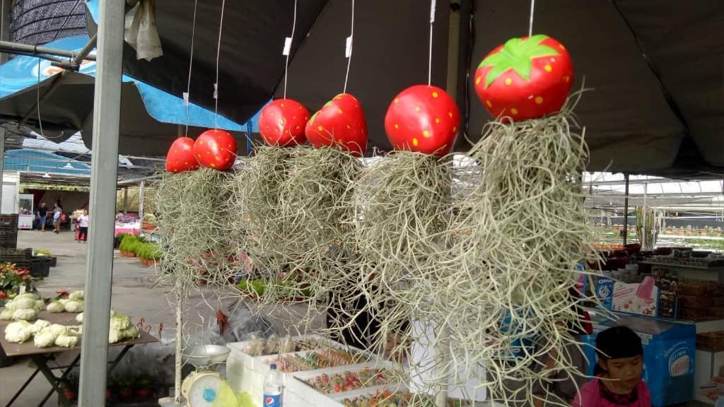קמרון היילנדס Mag Homestay At Crown Imperial Court, Brinchang מראה חיצוני תמונה